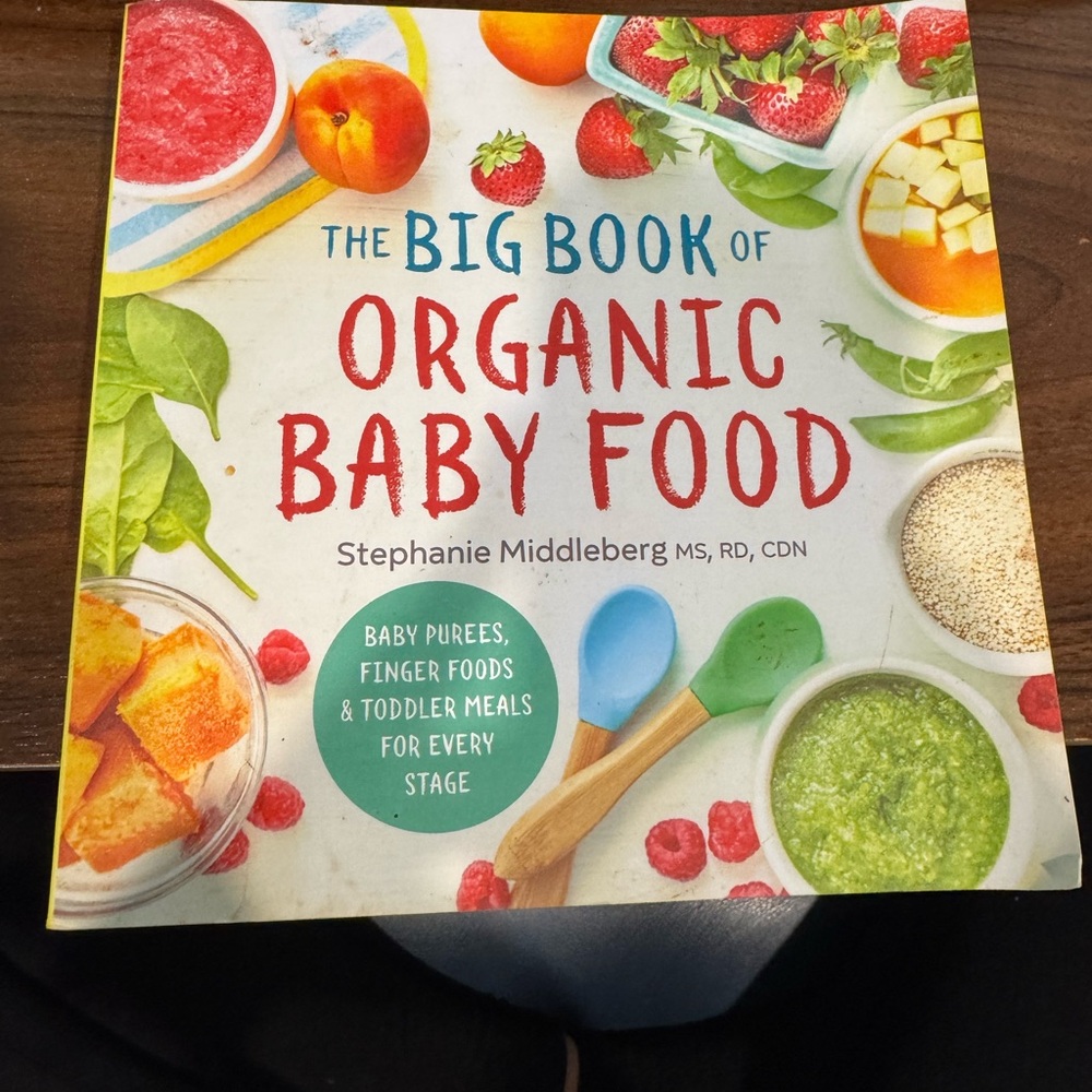 The Big Book of Organic Baby Food